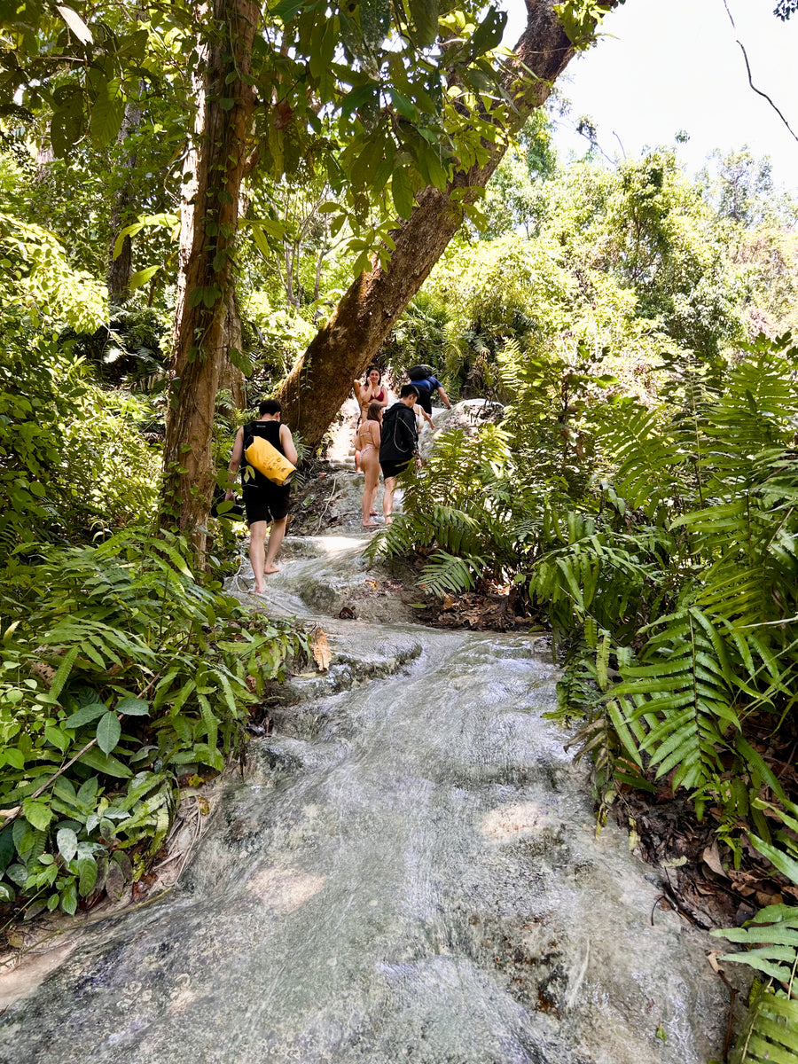 Chiang Mai: Bua Thong Sticky Waterfall Half-Day Trip