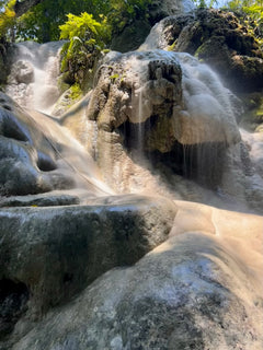 Chiang Mai: Bua Thong Sticky Waterfall Half-Day Trip