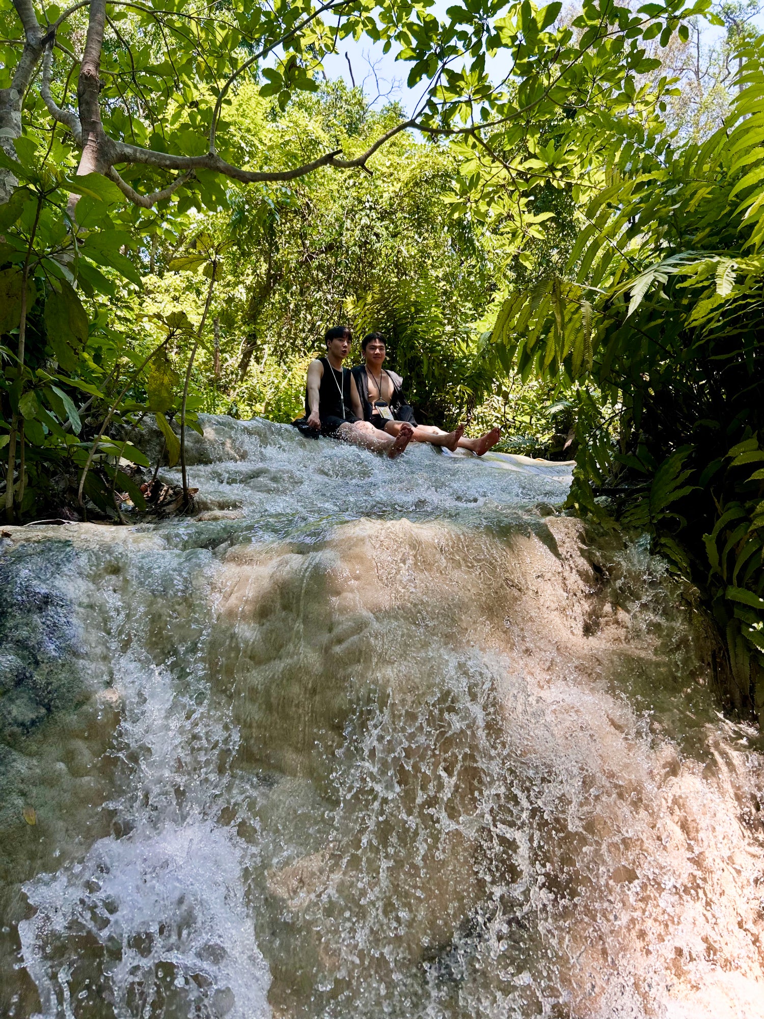 Chiang Mai: Bua Thong Sticky Waterfall Half-Day Trip